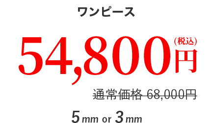 ワンピース ５４,８００円
